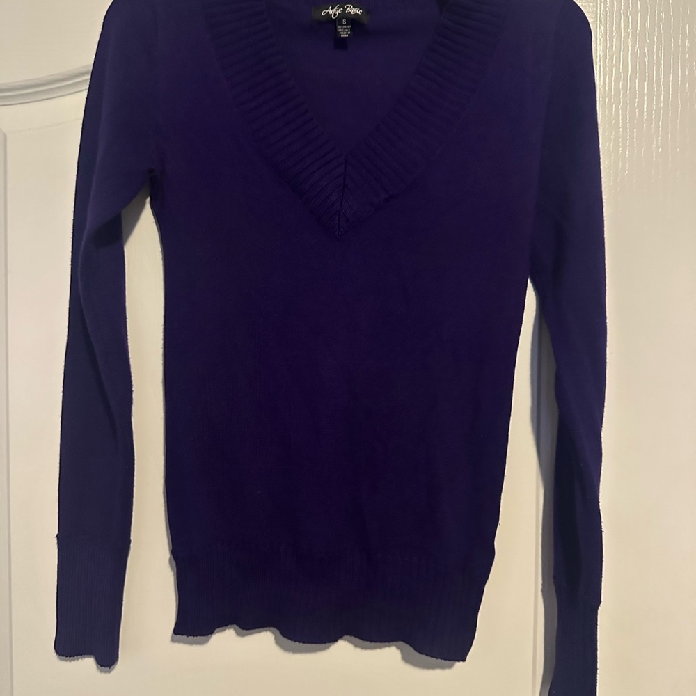 Active Basic Rich Purple V-Neck Sweater